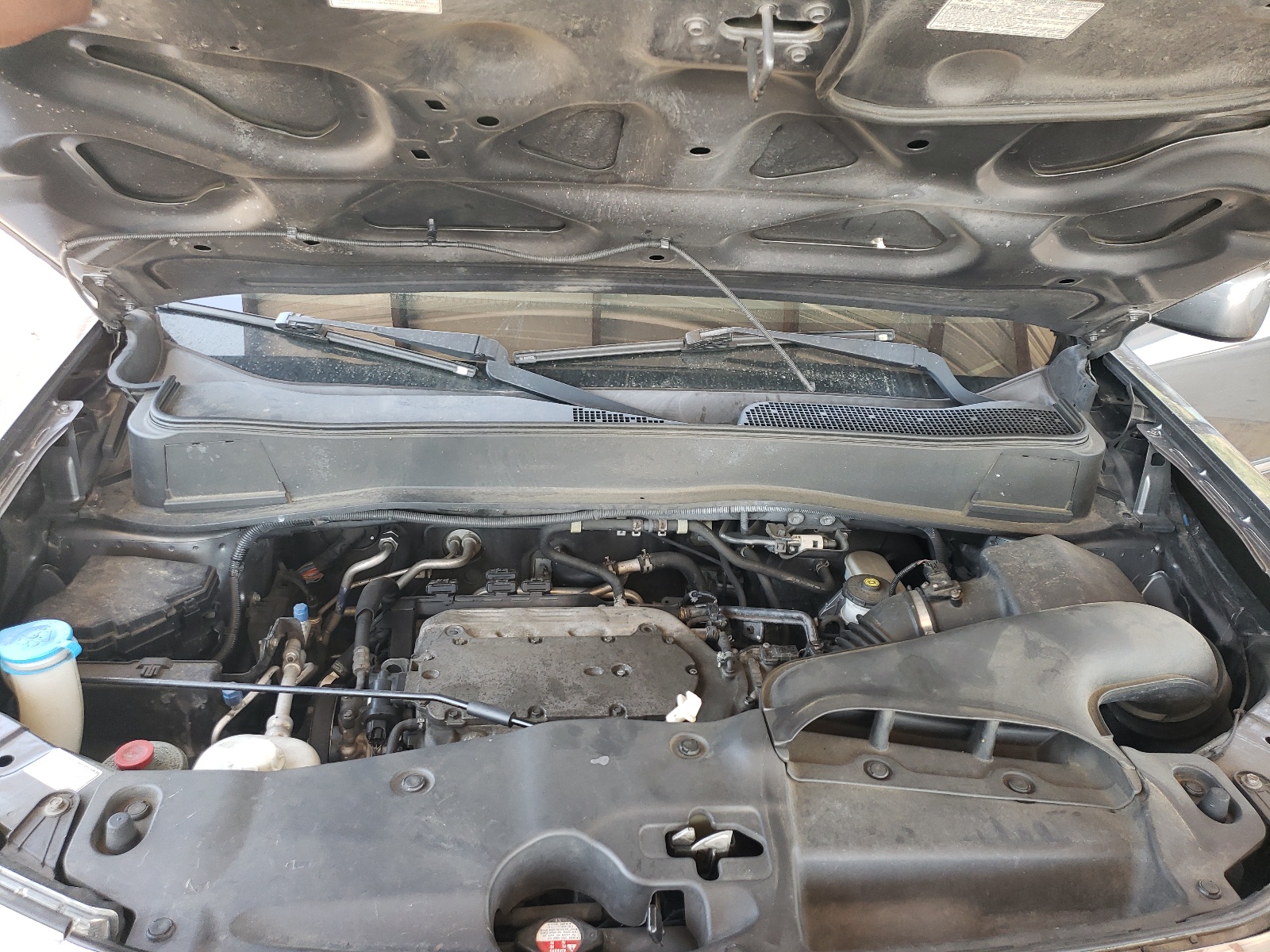 5FNYF4H53DB003510 2013 Honda Pilot Exl