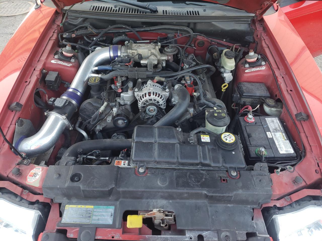 2003 Ford Mustang Gt VIN: 1FAFP45X23F432860 Lot: 57313194