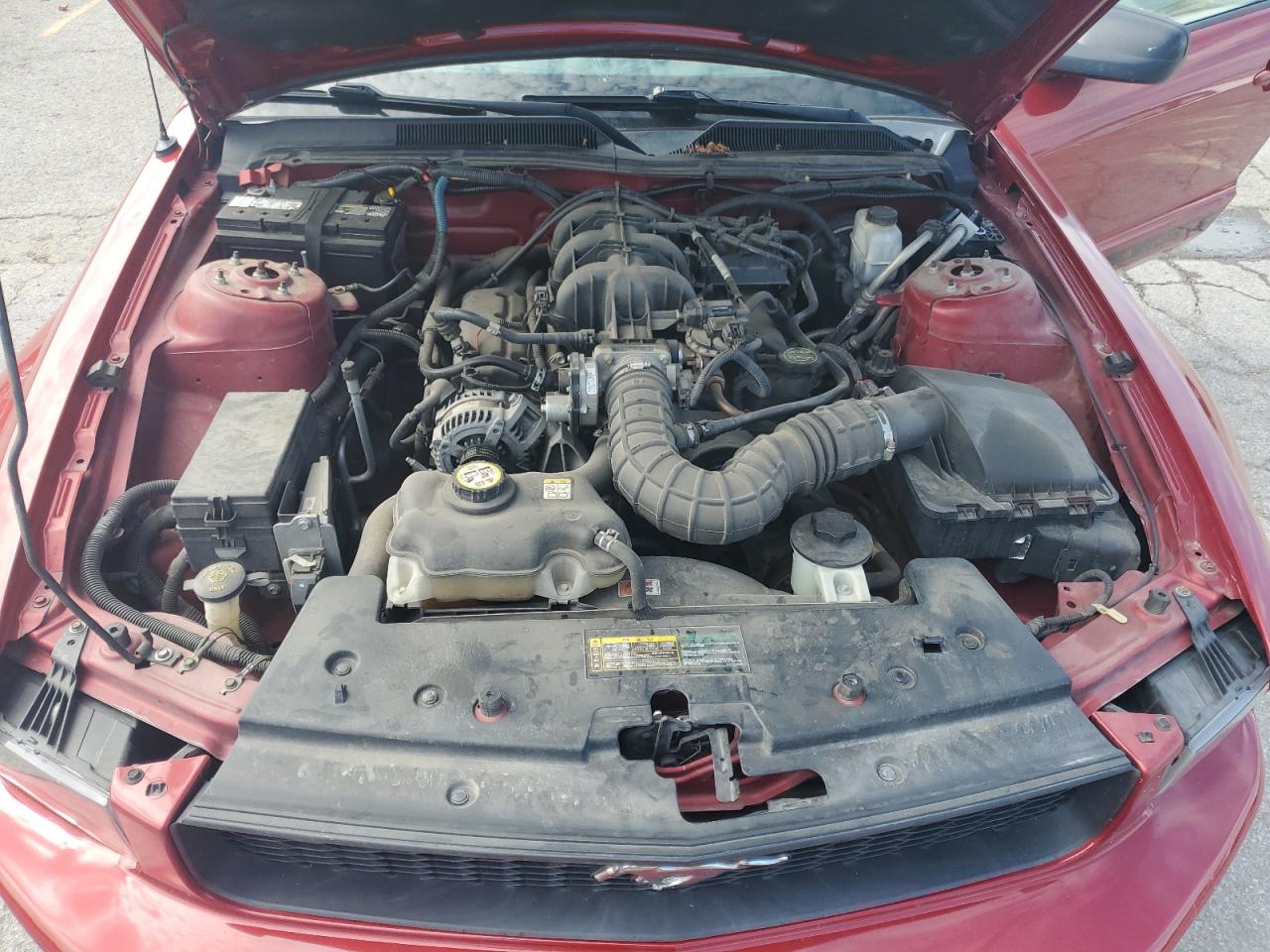 2009 Ford Mustang VIN: 1ZVHT80N595121821 Lot: 59365754