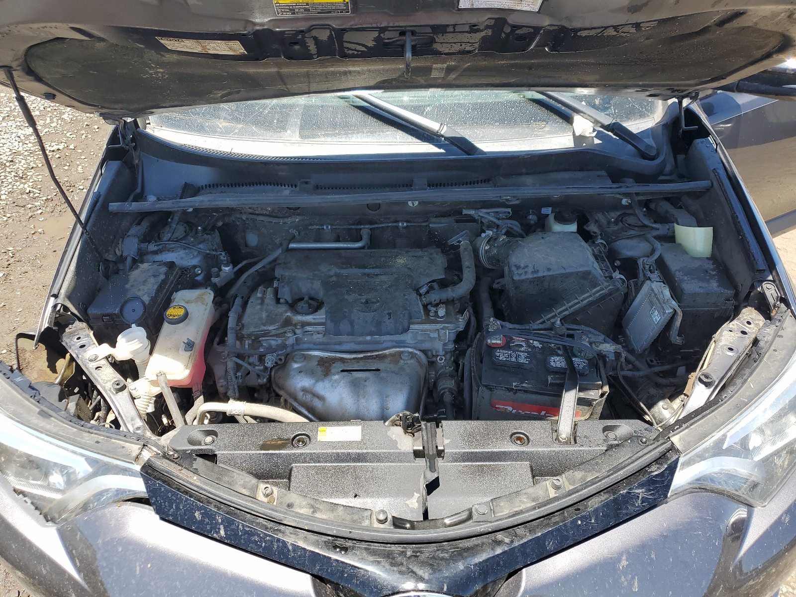 2T3NFREVXGW260490 2016 Toyota Rav4 Se