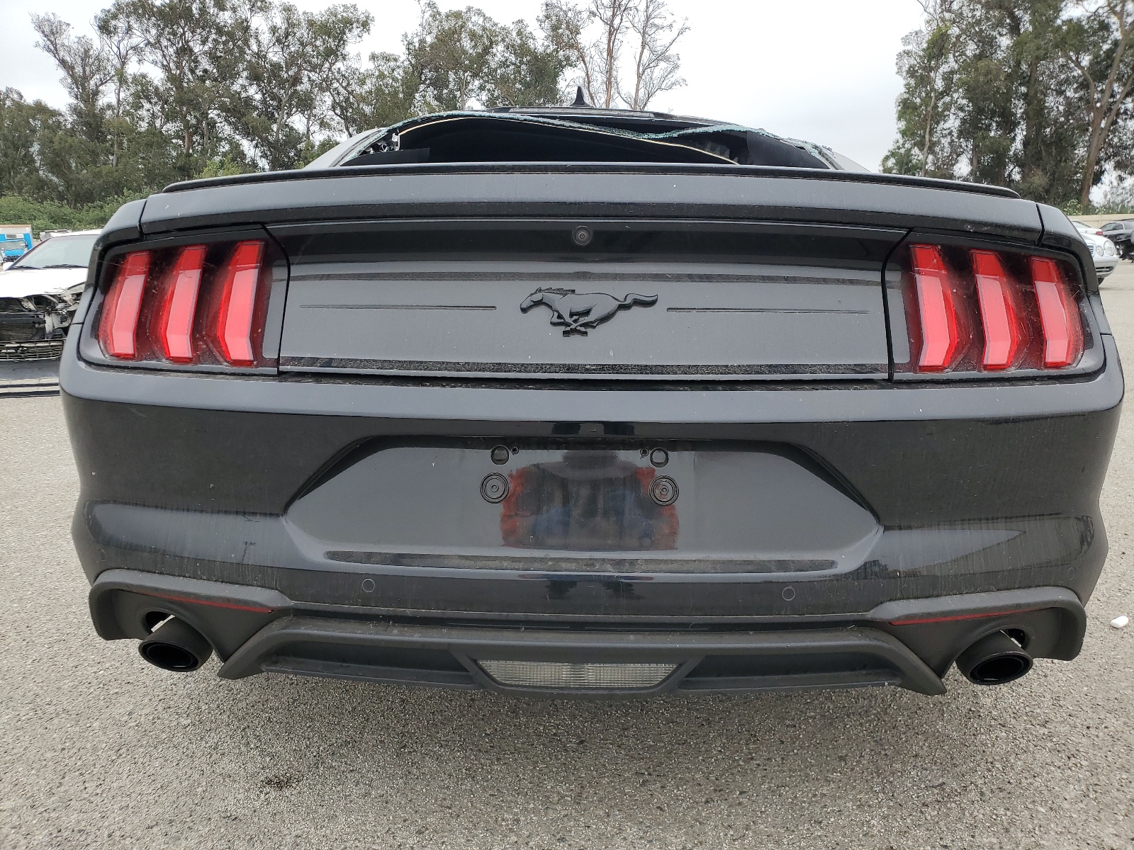 2022 Ford Mustang vin: 1FA6P8TH1N5134408