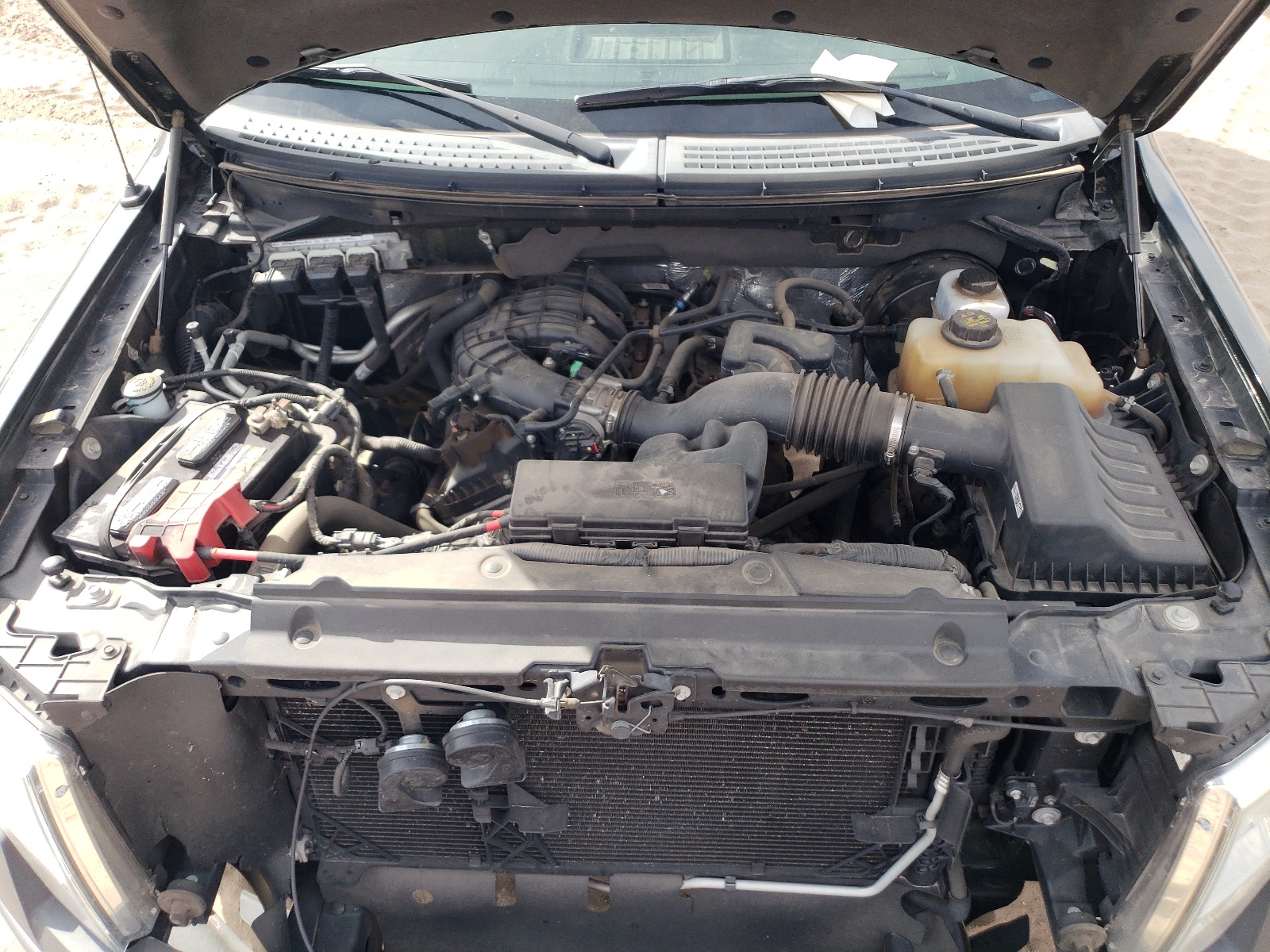 1FTMF1CM3DKF00541 2013 Ford F150