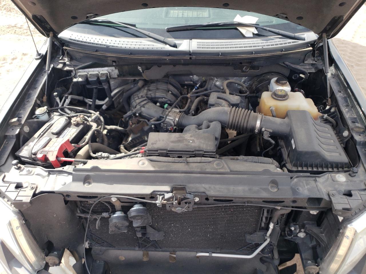 2013 Ford F150 VIN: 1FTMF1CM3DKF00541 Lot: 55597674