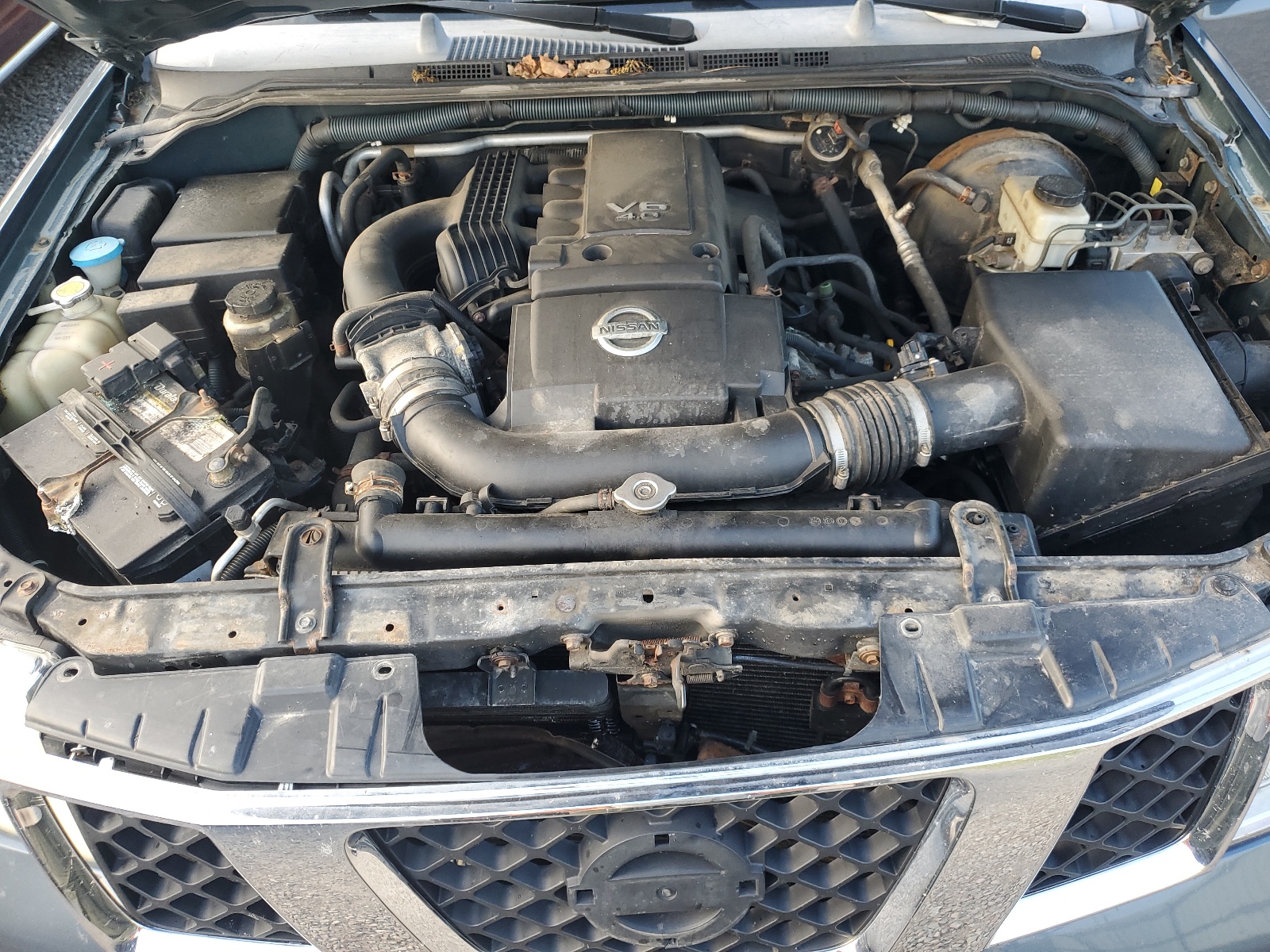 5N1AR18W46C666404 2006 Nissan Pathfinder Le