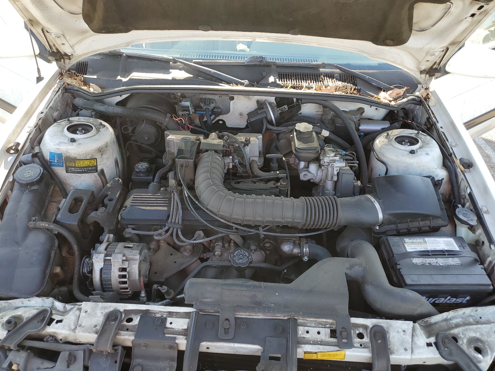 1G1LT534XPY160620 1993 Chevrolet Corsica Lt