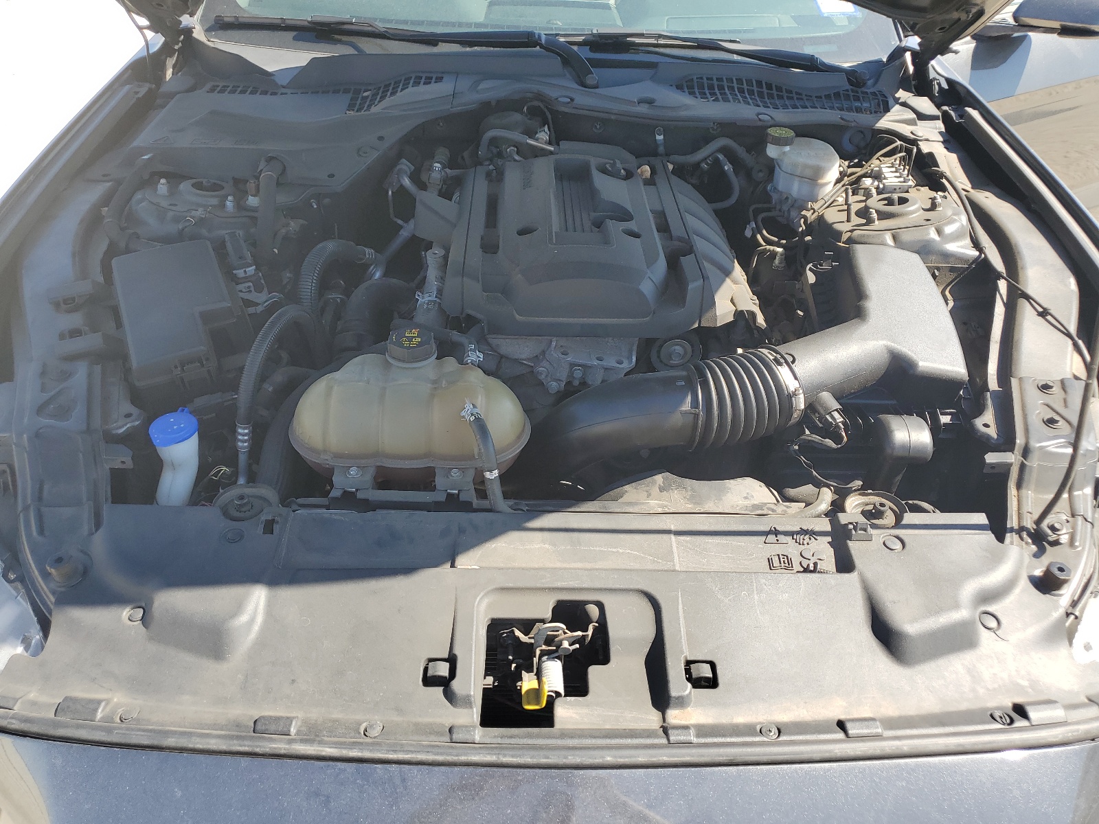 1FA6P8TH2L5118876 2020 Ford Mustang