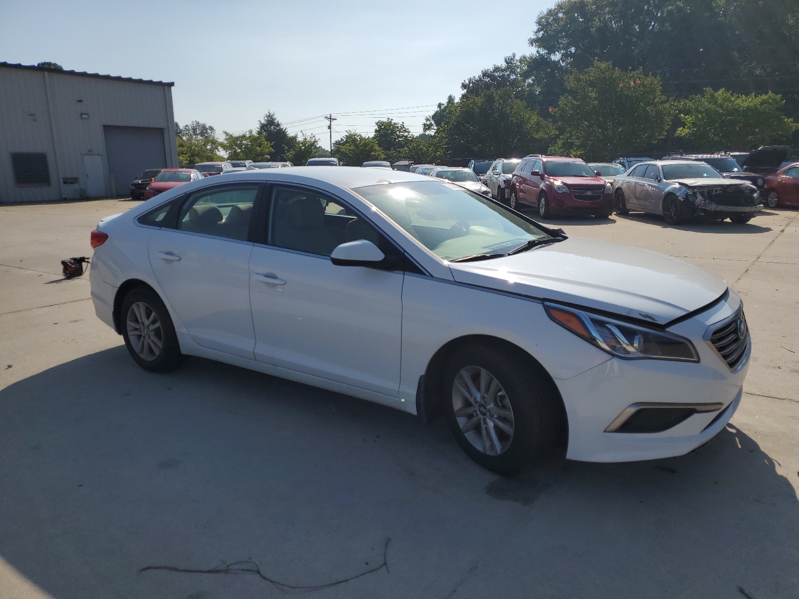 5NPE24AF0GH381386 2016 Hyundai Sonata Se