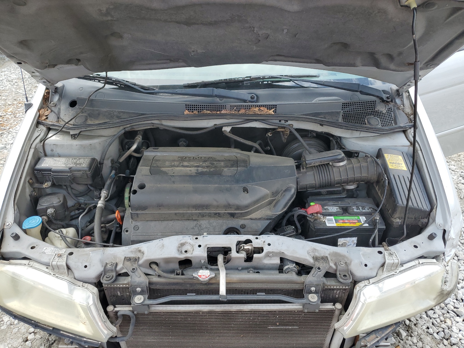 5FNRL18782B007529 2002 Honda Odyssey Exl