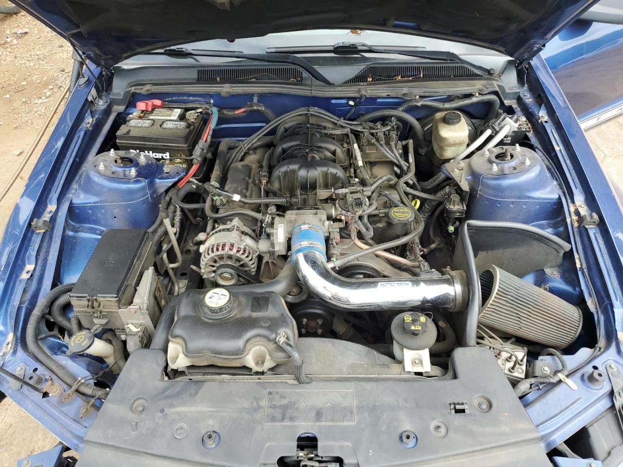 2006 Ford Mustang VIN: 1ZVFT80N965145817 Lot: 57292424