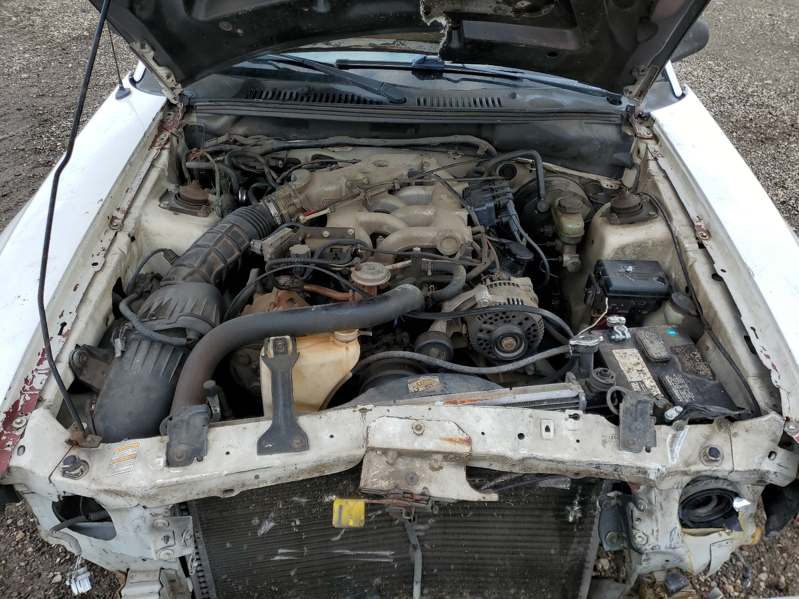 1FAFP4045YF185855 2000 Ford Mustang