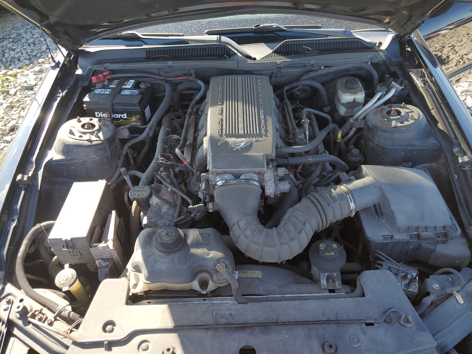 1ZVHT85H975319253 2007 Ford Mustang Gt