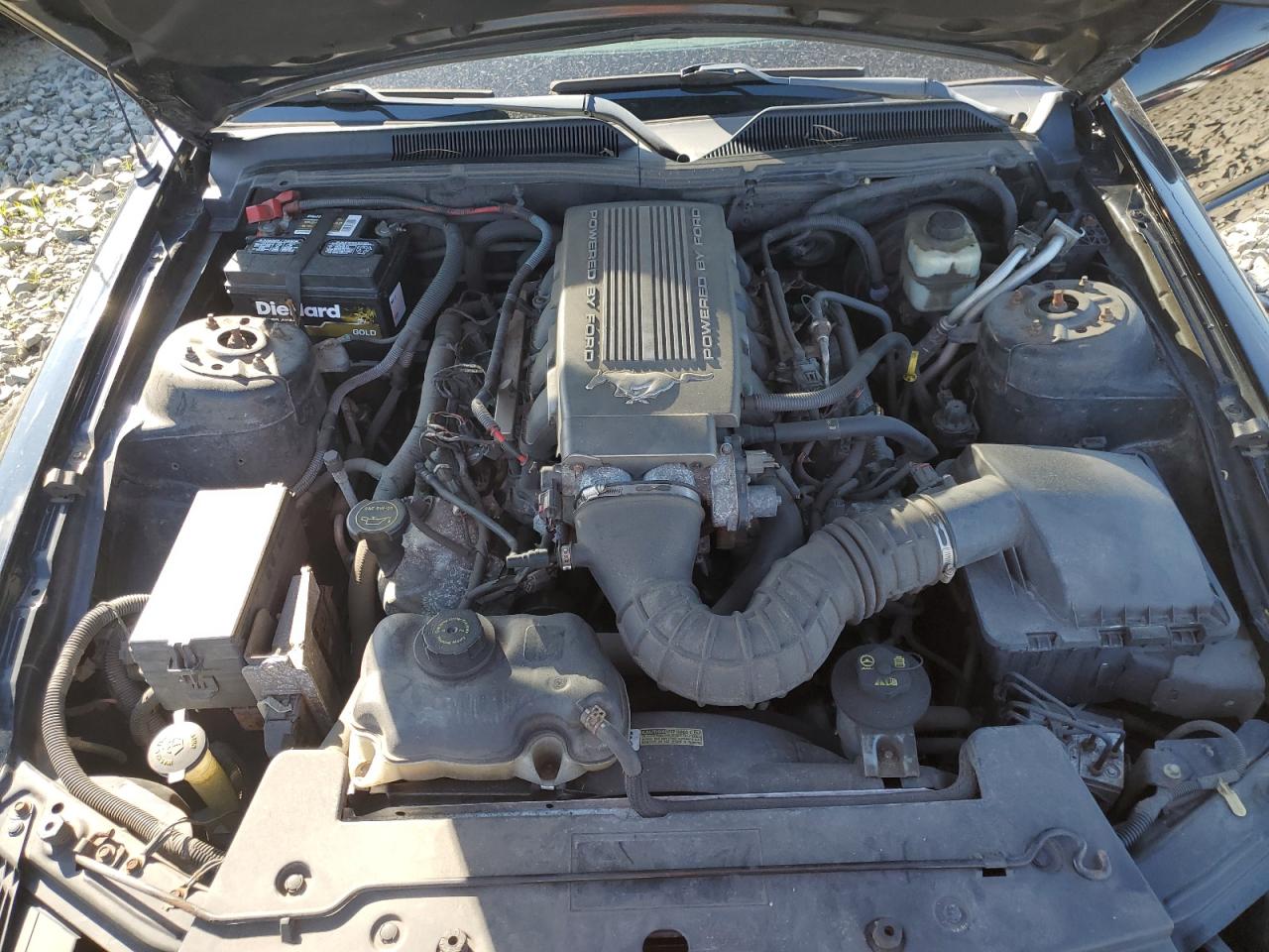 2007 Ford Mustang Gt VIN: 1ZVHT85H975319253 Lot: 60309354