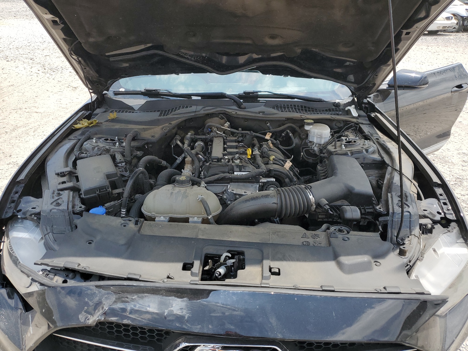 1FA6P8TH9M5121792 2021 Ford Mustang