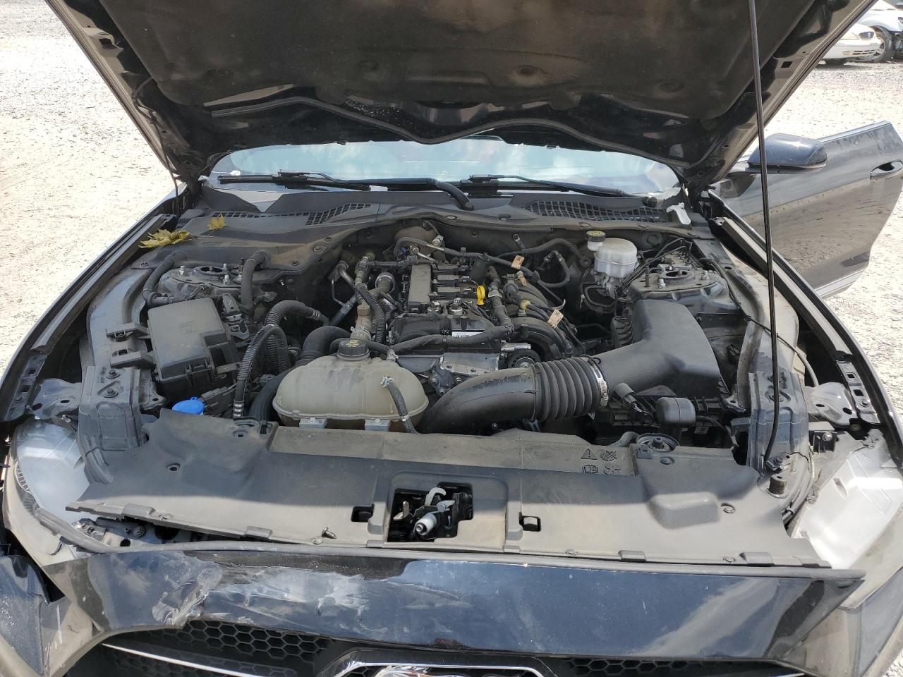 2021 Ford Mustang VIN: 1FA6P8TH9M5121792 Lot: 59741724