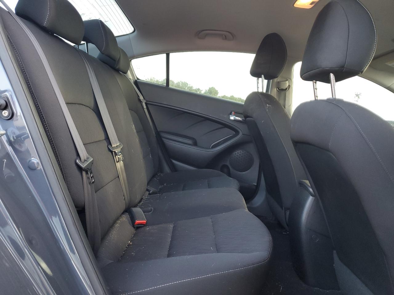 2016 Kia Forte Lx VIN: KNAFK4A69G5604820 Lot: 58308904