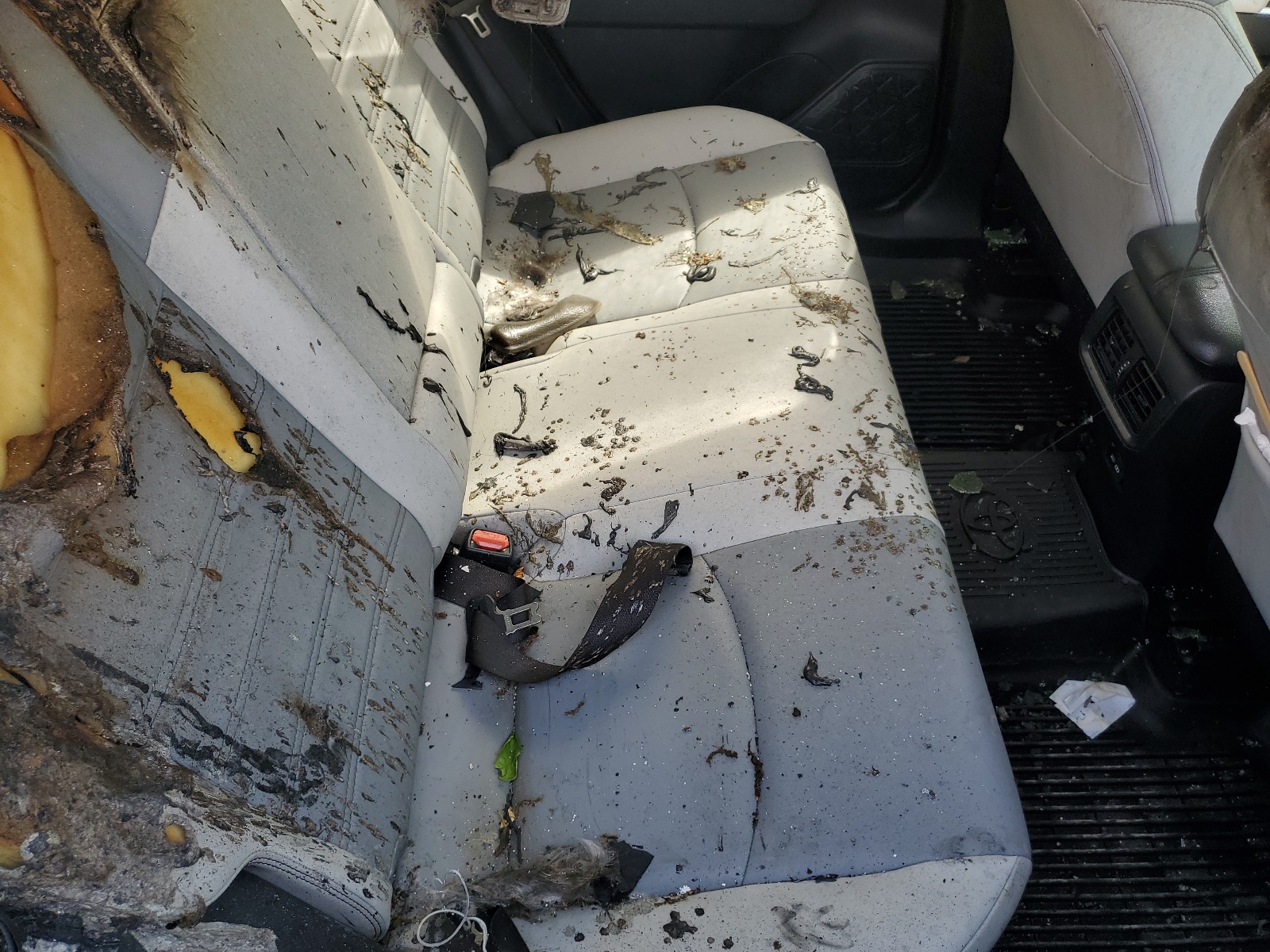 JTMB6RFV0ND062948 2022 Toyota Rav4 Xle Premium