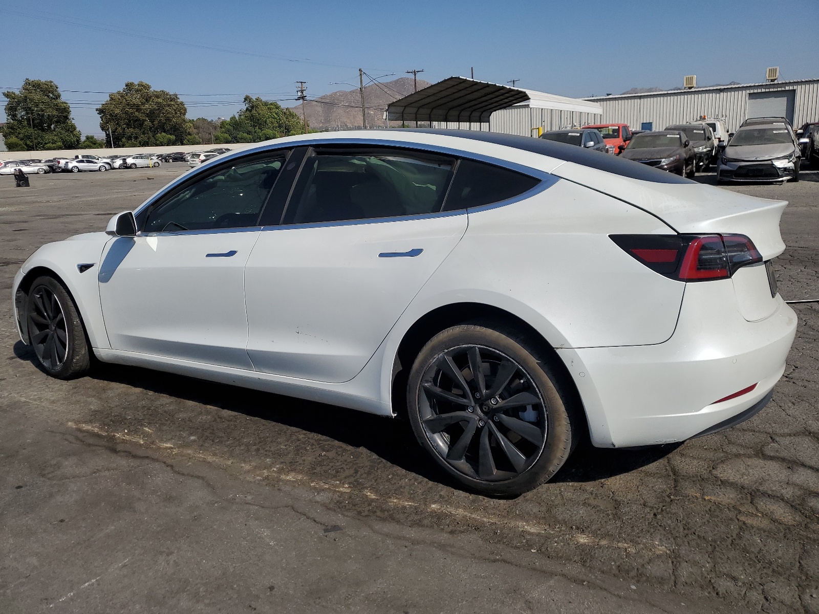 2020 Tesla Model 3 vin: 5YJ3E1EA4LF614786