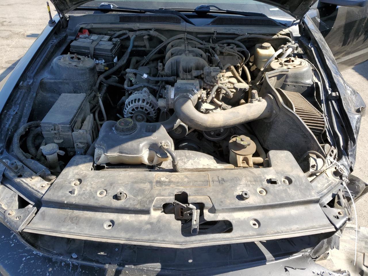 2008 Ford Mustang VIN: 1ZVHT80N285155729 Lot: 66018354