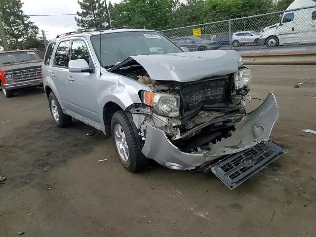 2010 Ford Escape Limited VIN: 1FMCU0EG0AKA11685 Lot: 60238454