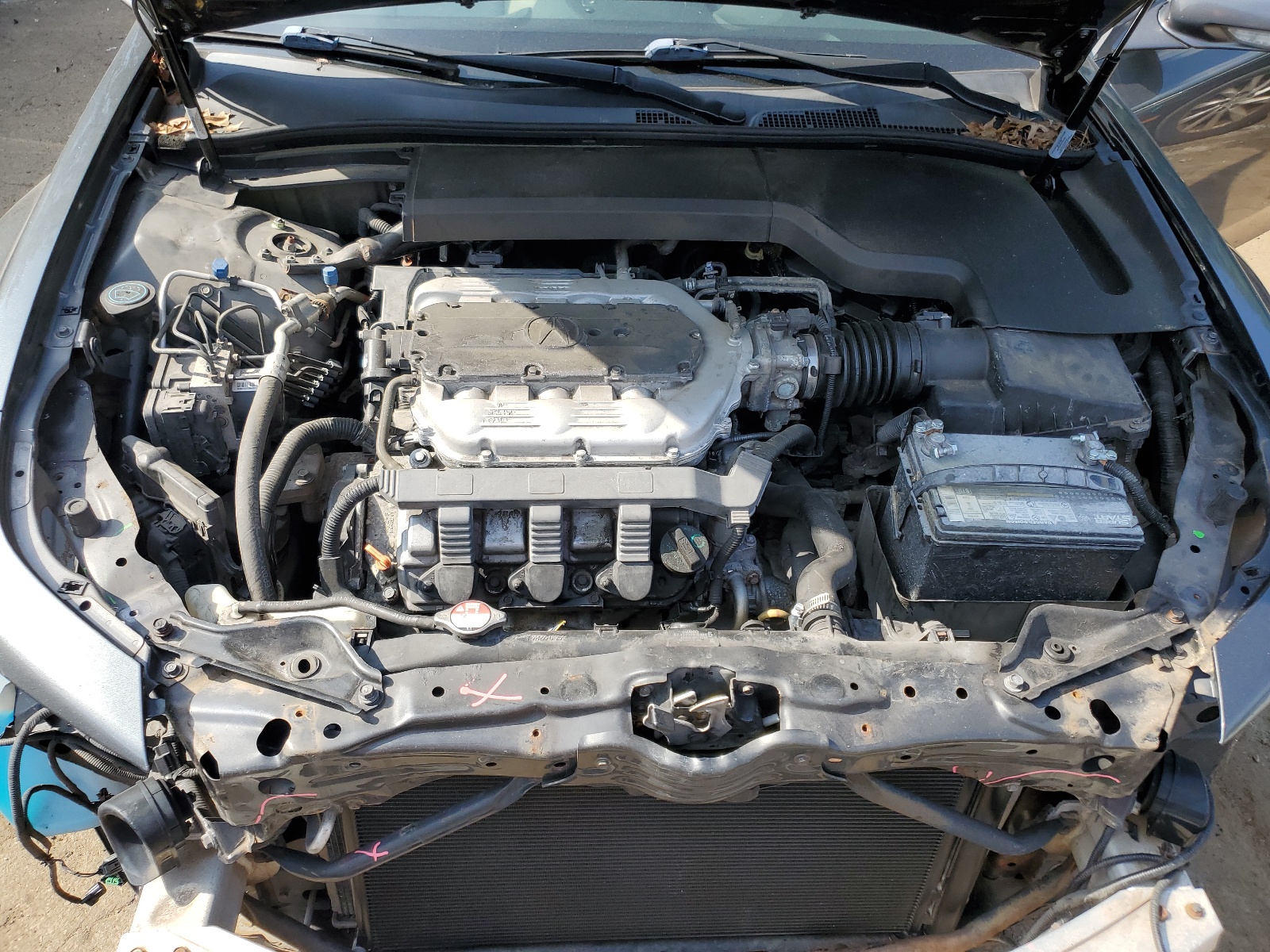 19UUA8F24BA007487 2011 Acura Tl