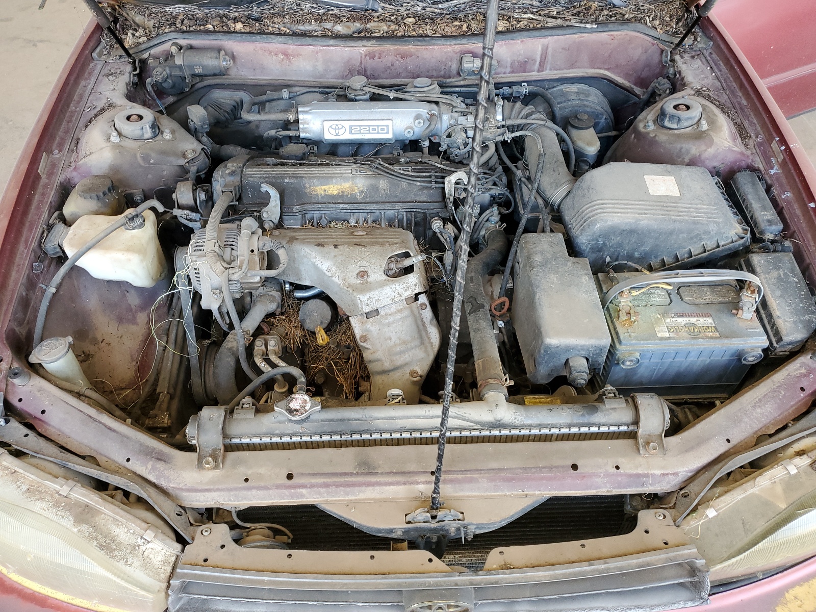 4T1SK13E0RU461510 1994 Toyota Camry Xle