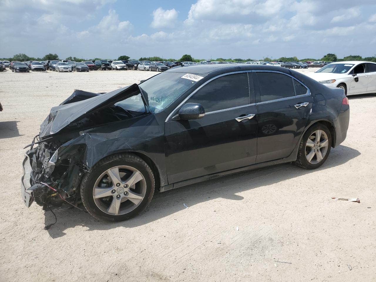 2011 Acura Tsx VIN: JH4CU2F6XBC003612 Lot: 60840944