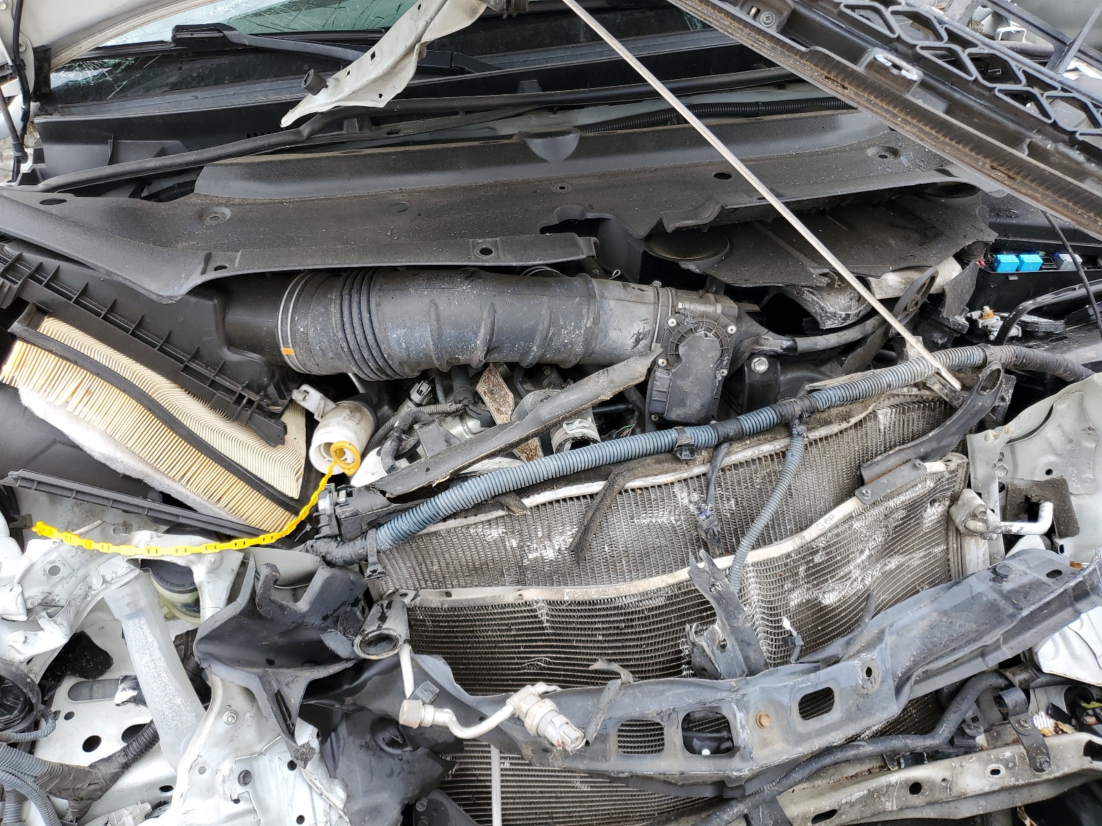 JTEBU5JR2C5104676 2012 Toyota 4Runner Sr5