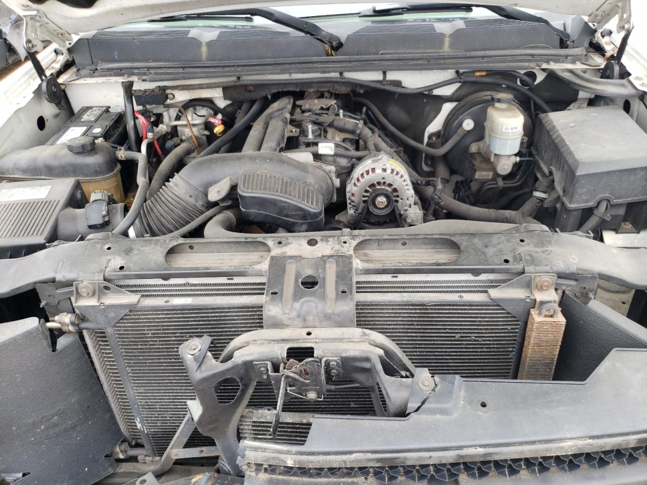 2009 Chevrolet Silverado K1500 VIN: 1GCEK19C59Z284513 Lot: 56074794