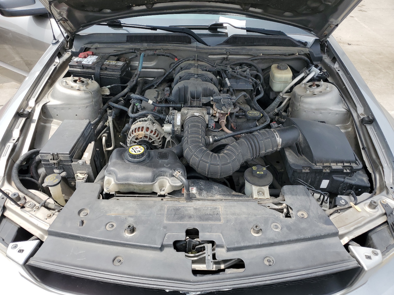 1ZVHT84N685179025 2008 Ford Mustang