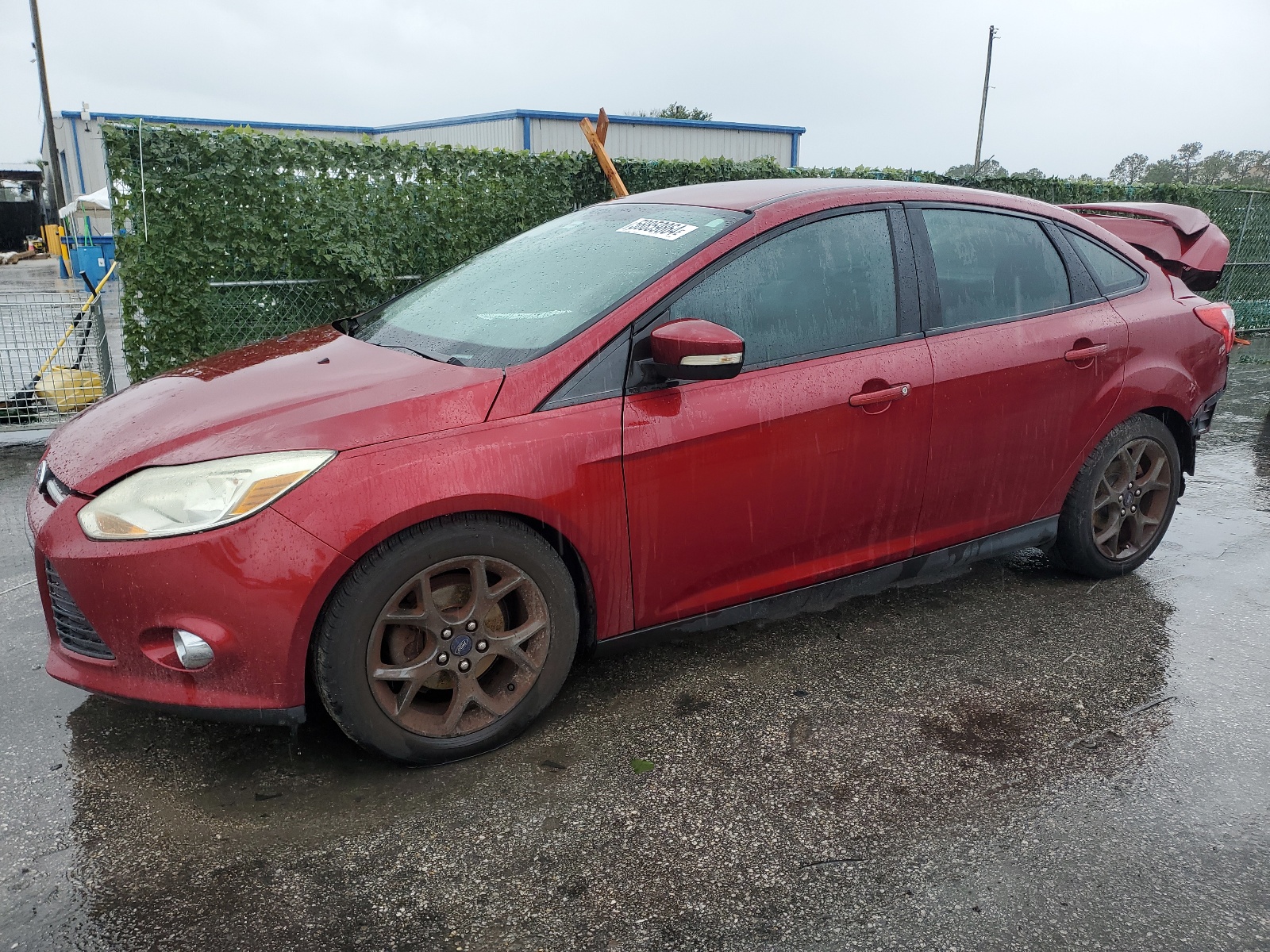 1FADP3F25EL233049 2014 Ford Focus Se