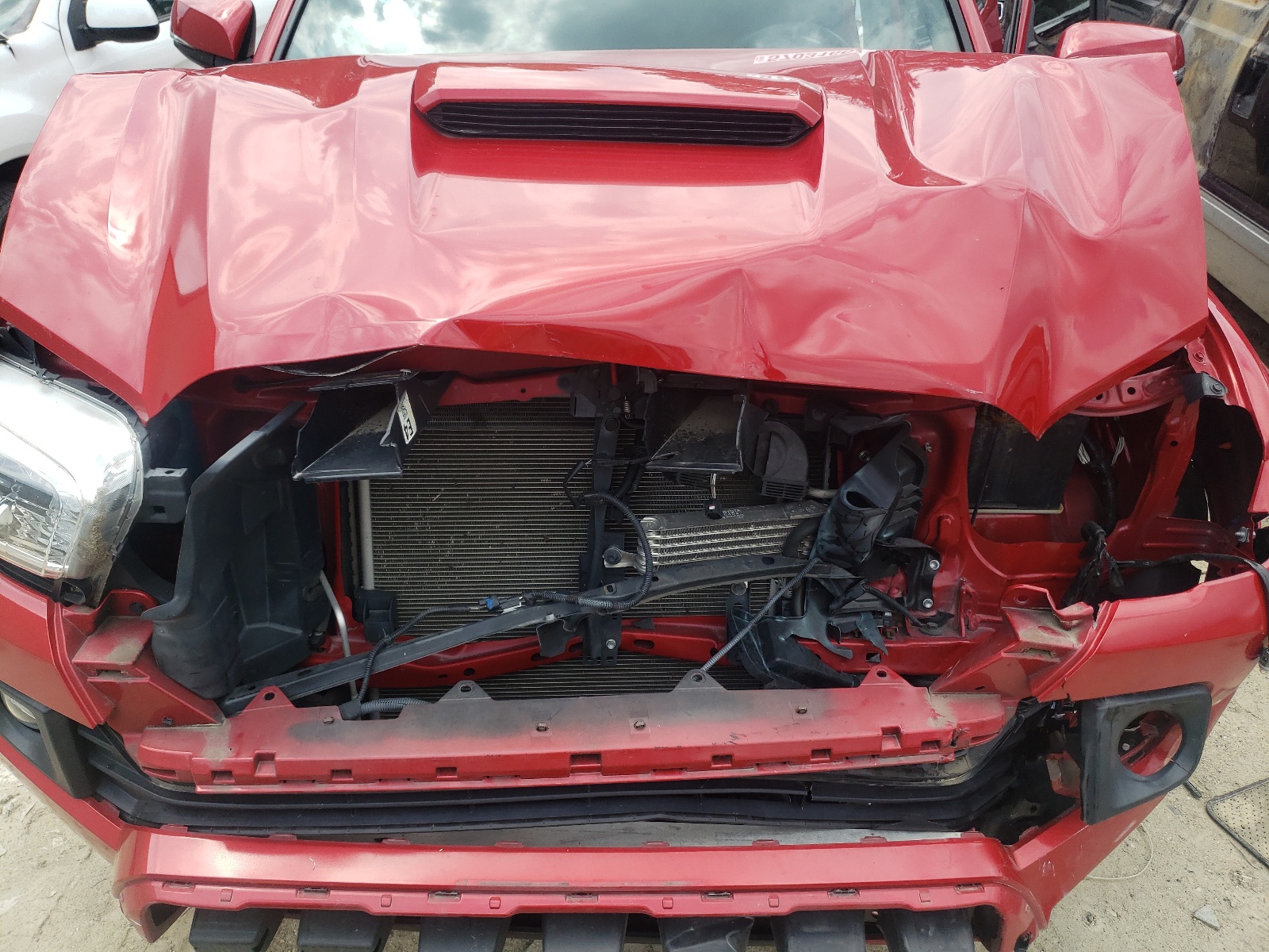 3TMDZ5BN0KM071339 2019 Toyota Tacoma Double Cab