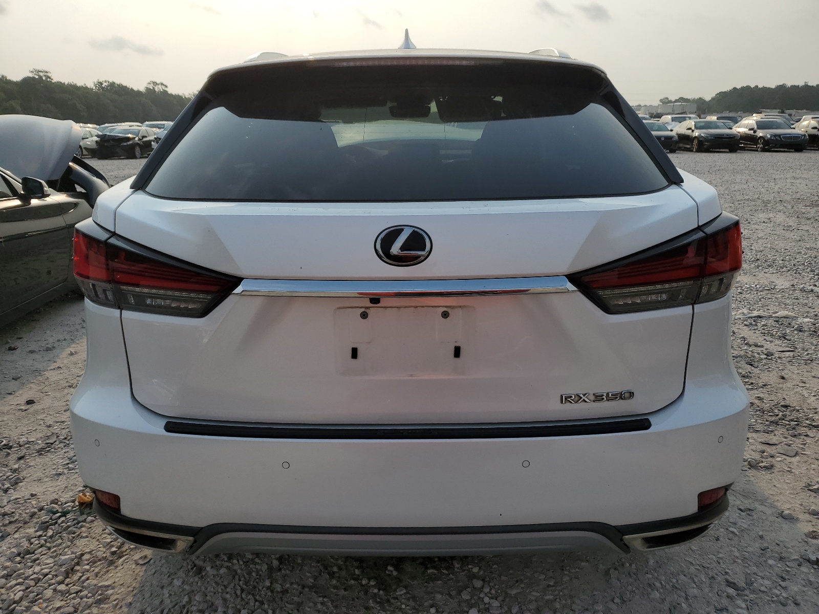 2T2HZMAA4LC154630 2020 Lexus Rx 350
