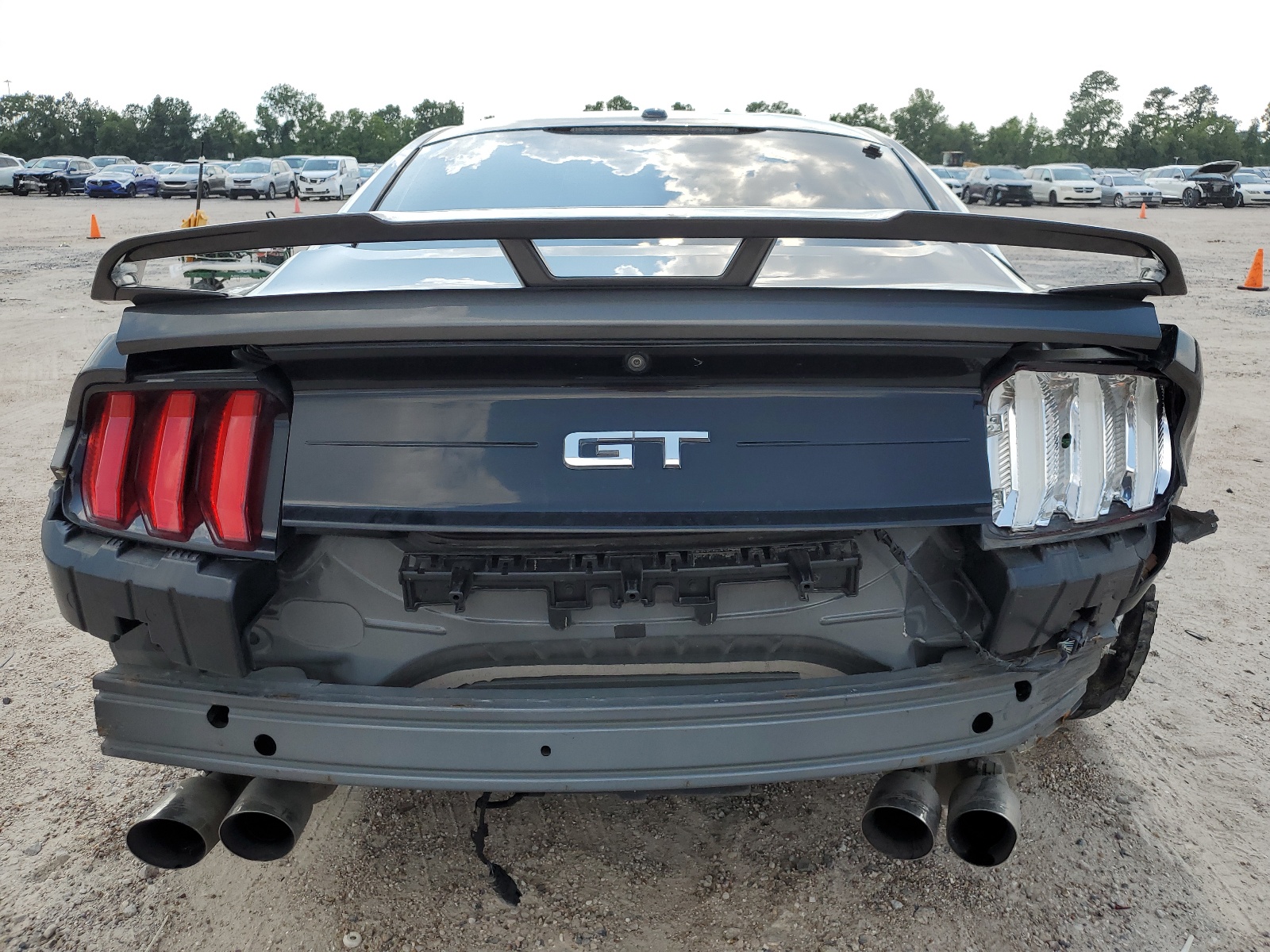 1FA6P8CF5K5115094 2019 Ford Mustang Gt