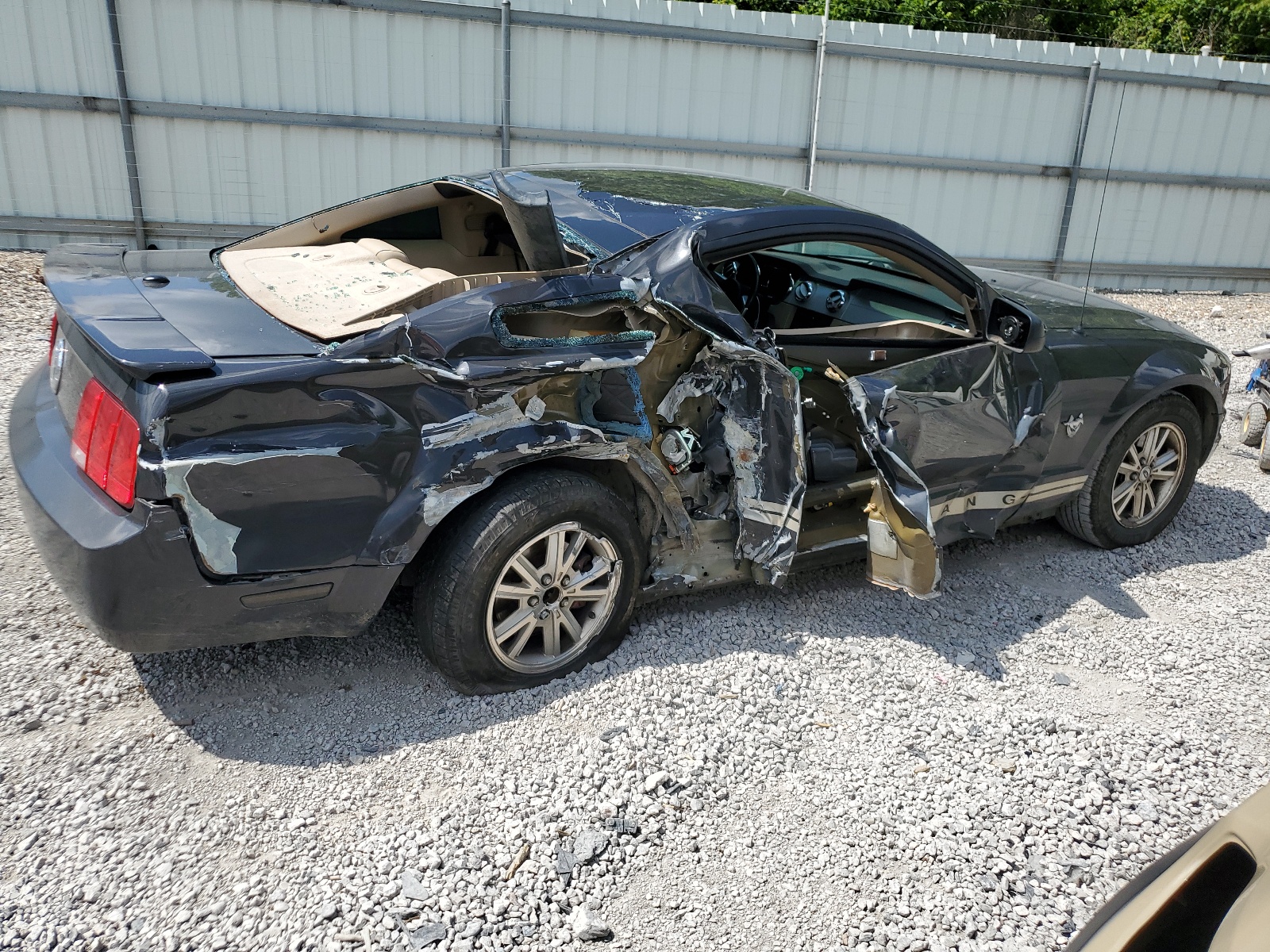 1ZVHT80N695118460 2009 Ford Mustang