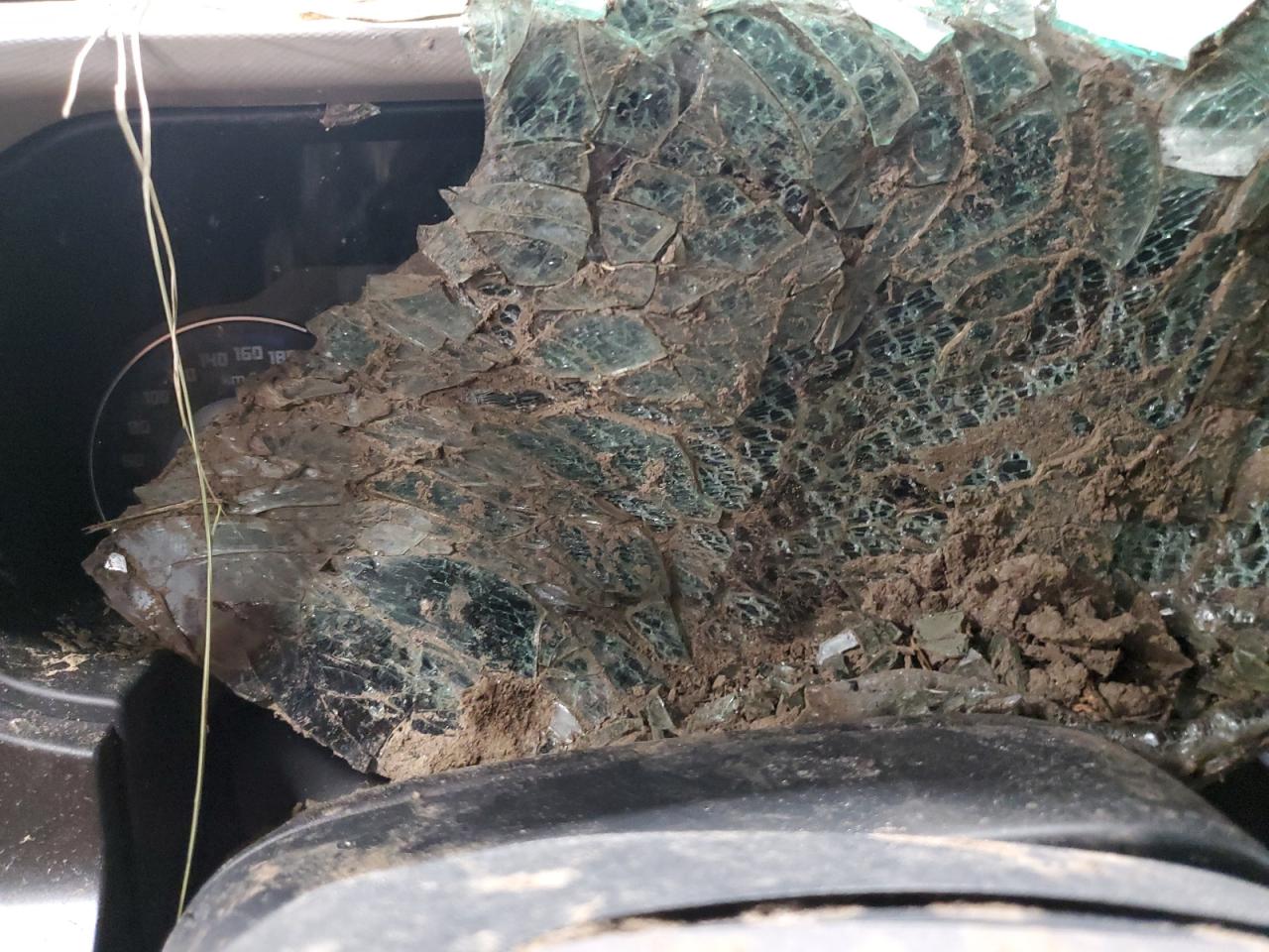 2023 Ford Bronco Base VIN: 1FMEE5DP8PLB47473 Lot: 58208234