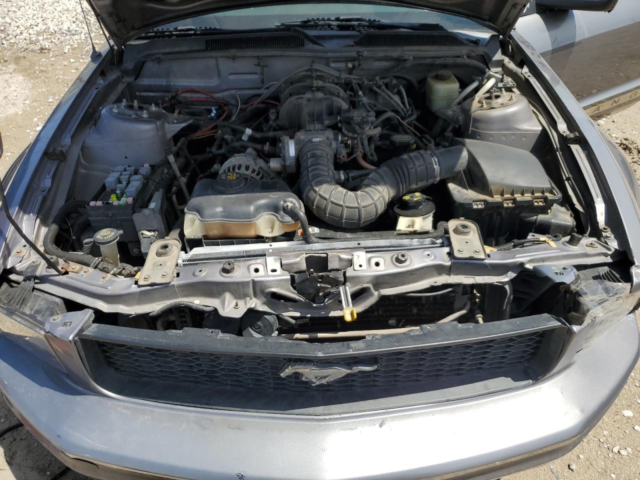 2006 Ford Mustang VIN: 1ZVFT80N265113548 Lot: 57432604