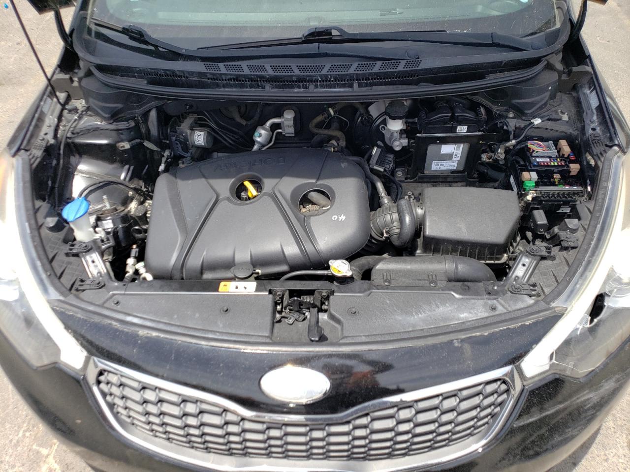 2014 Kia Forte Lx VIN: KNAFK4A65E5124609 Lot: 56342574