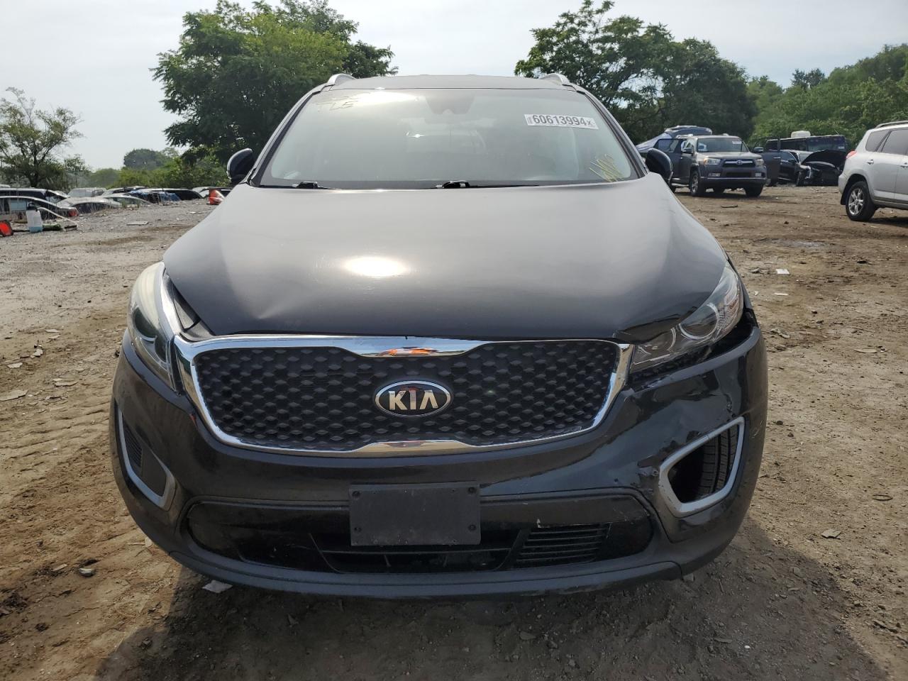 2017 Kia Sorento Lx VIN: 5XYPG4A36HG317510 Lot: 60613994