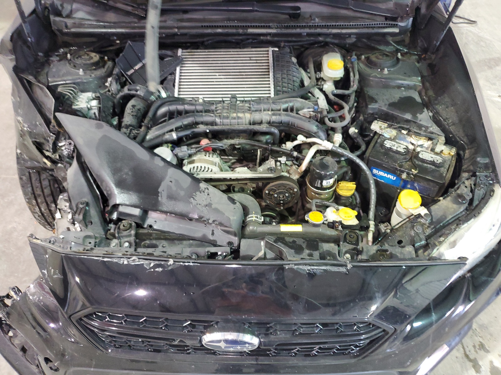 JF1VA1A66K9801239 2019 Subaru Wrx