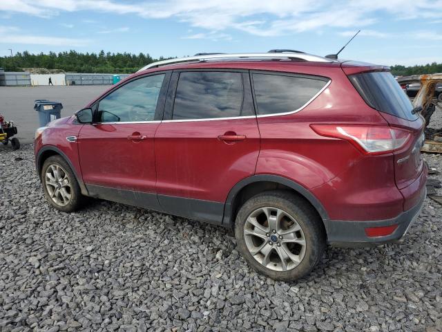 Паркетники FORD ESCAPE 2016 Червоний