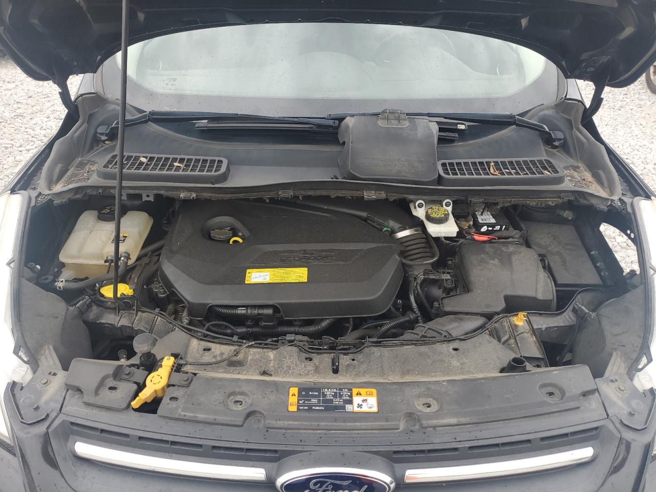 2013 Ford Escape Se VIN: 1FMCU0GXXDUC77821 Lot: 58951044