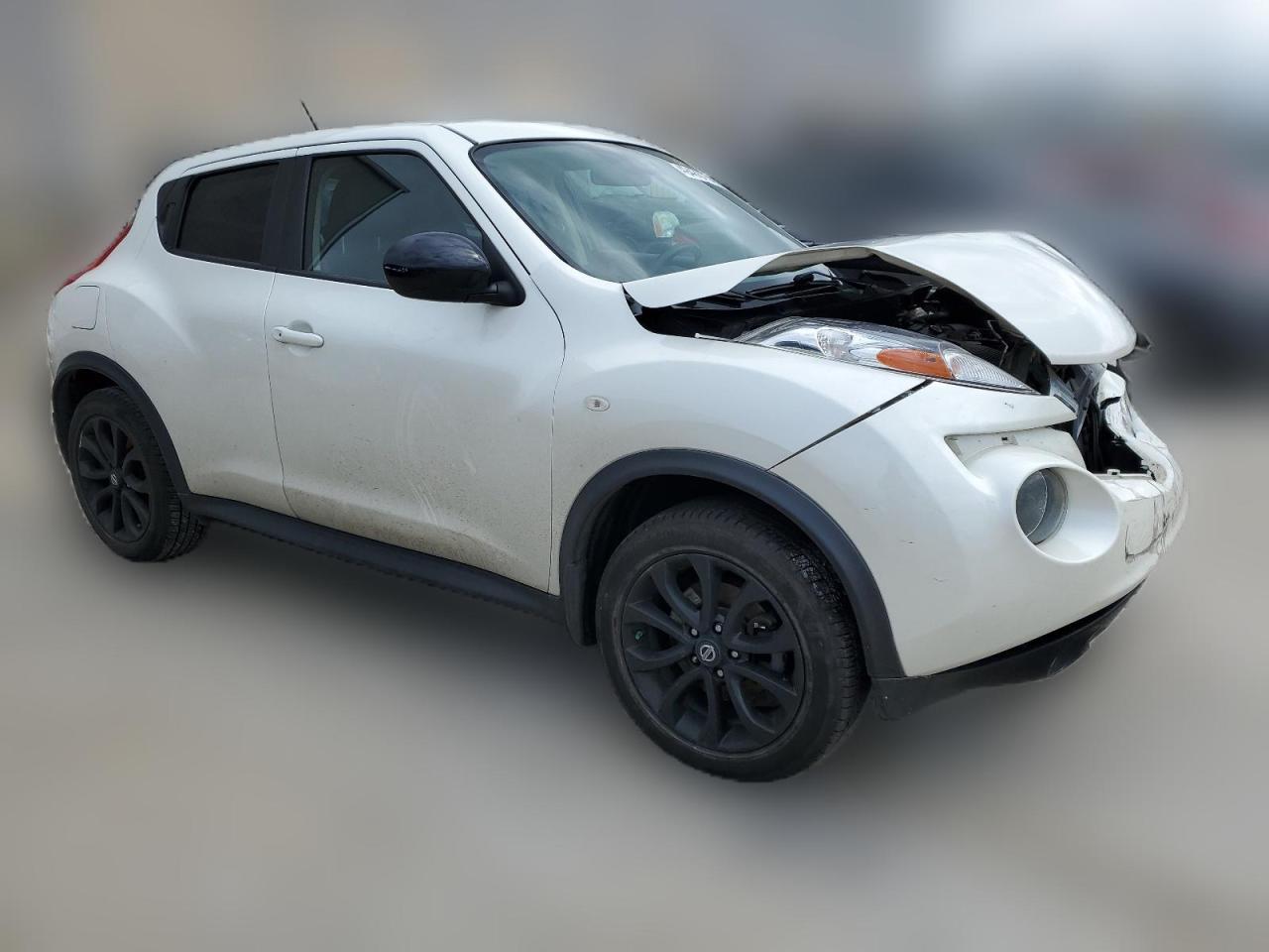 2013 Nissan Juke S VIN: JN8AF5MV7DT228981 Lot: 49486754