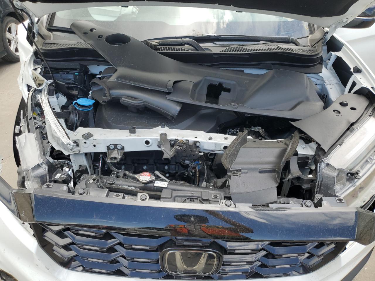 2023 Honda Passport Elite VIN: 5FNYF8H01PB003604 Lot: 58985264