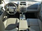 2010 Ford Escape Xlt   for Sale in Indianapolis, IN - Front End