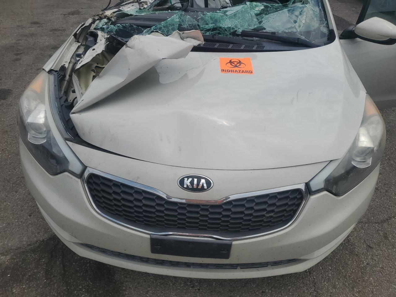 2015 Kia Forte Lx VIN: KNAFK4A69F5312521 Lot: 59650304