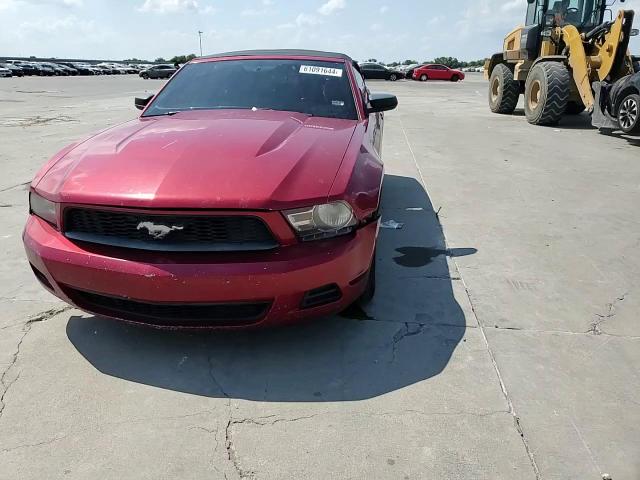 2010 Ford Mustang VIN: 1ZVBP8EN4A5172010 Lot: 61091644