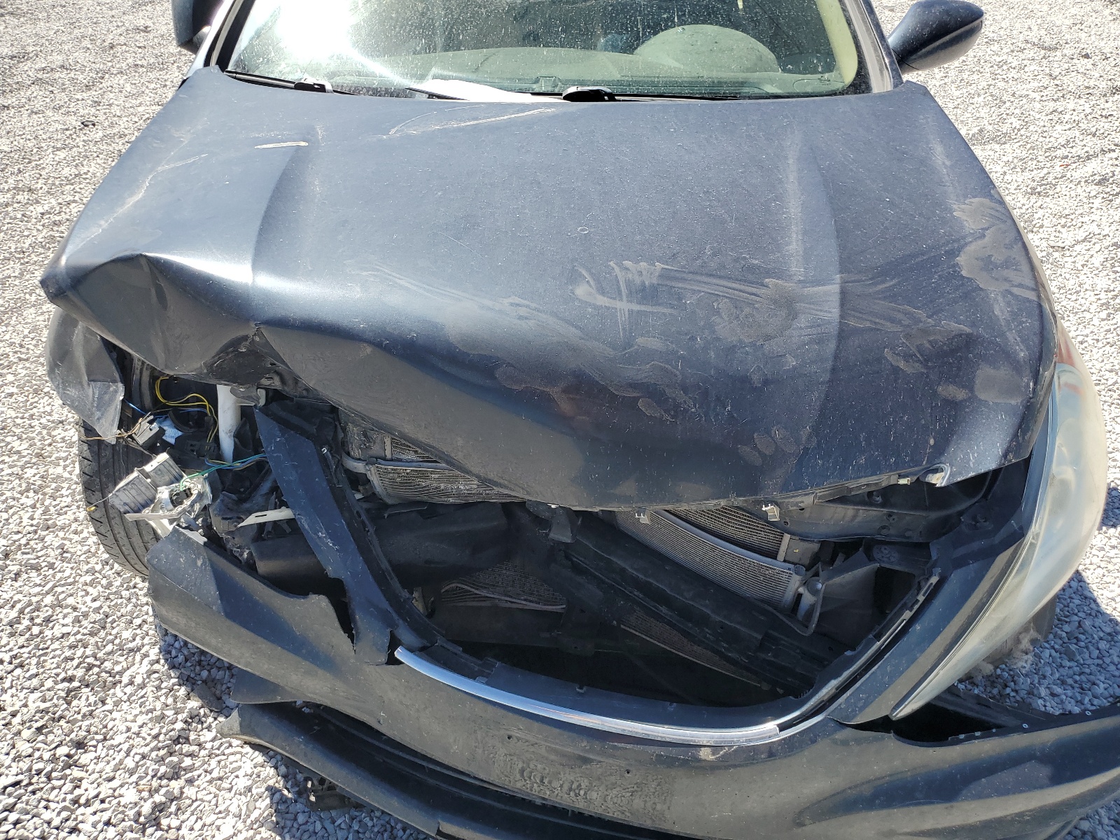 5NPEB4AC5DH769232 2013 Hyundai Sonata Gls