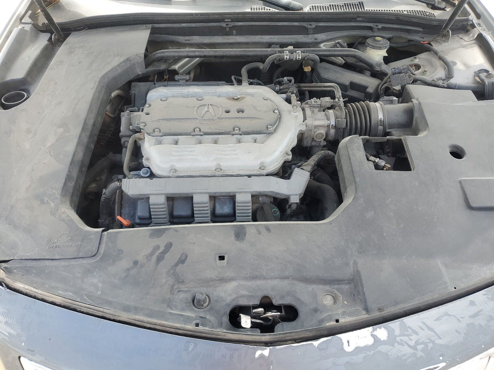 19UUA8F51AA016074 2010 Acura Tl