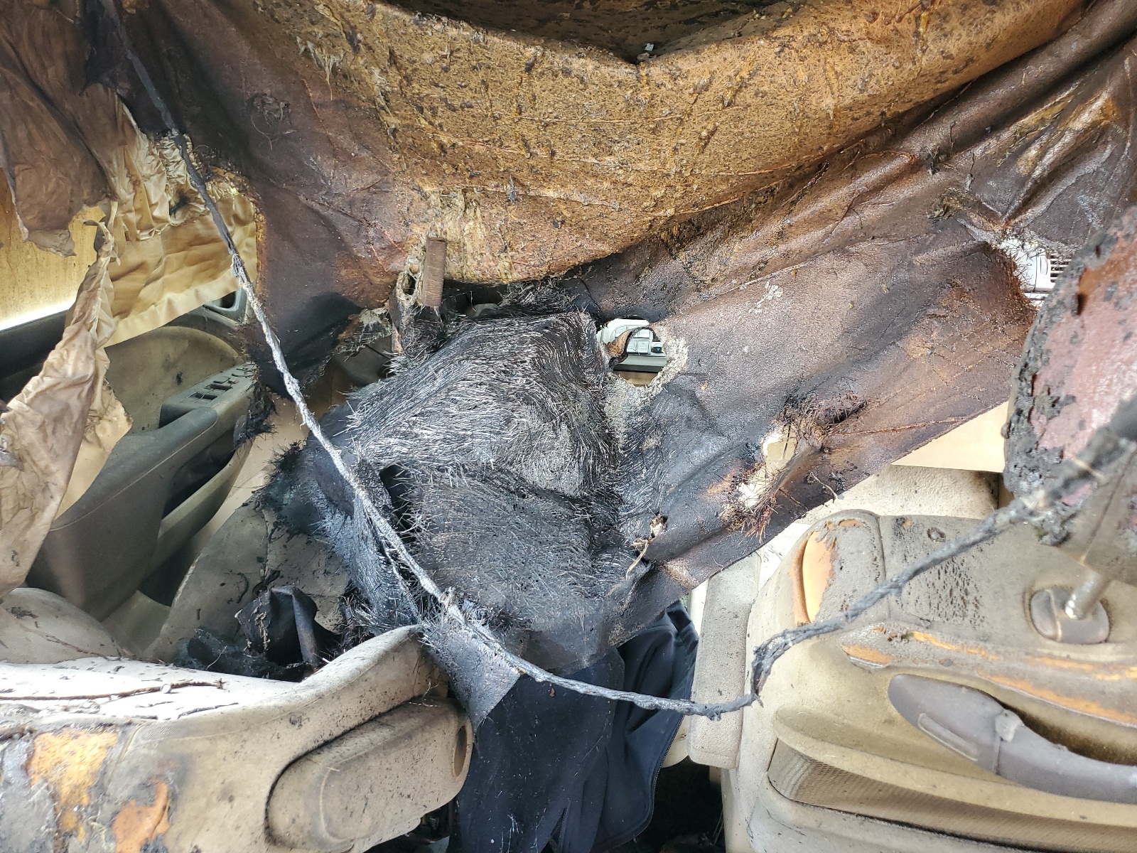 5FNRL38456B431788 2006 Honda Odyssey Ex