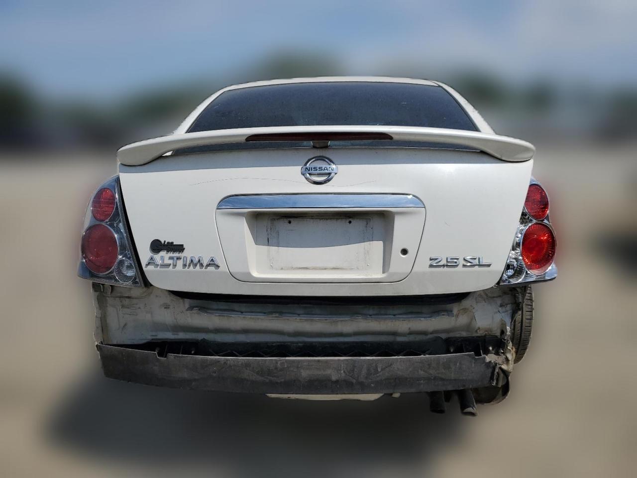 2005 Nissan Altima S VIN: 1N4AL11D75C273953 Lot: 60239854